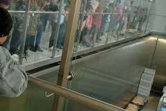 IMG_20241017_085045