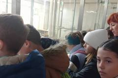 IMG_20241017_085242