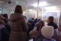 IMG_20241017_085308