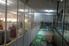 IMG_20241017_090501